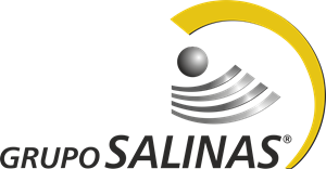 Grupo_Salinas-logo-57C137E188-seeklogo contructora gobierno proyecto liciitaciones